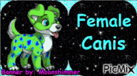 Female Canis Banner - Animovaný GIF zadarmo
