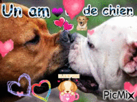 Un amour de chien <3 - Ingyenes animált GIF