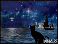 La nuit Animated GIF