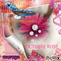 Octobre rose animovaný GIF