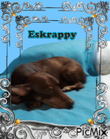 Eskrappy - Gratis animeret GIF