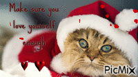 cat love - GIF animé gratuit