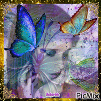 Beautiful Butterflies  are Free... анимированный гифка