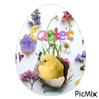 Easter! GIF animasi