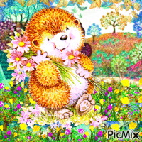 hedgehog spring/summer