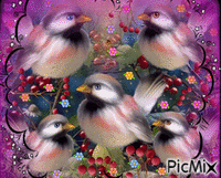 FIVE PINK BREASTED BIRDS, RED BERRIES, AND LITTLE FLOWERS BLINKING DIFFERENT COLORS, REAL EYES, A PURPLE WIDE FRAME, AND A BLACK DIAMOND FRAME OVER IT. animuotas GIF