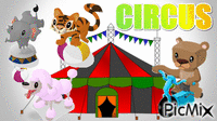 CIRCUS Animated GIF