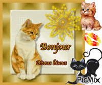 bonjour bisous bisous - GIF animé gratuit