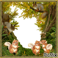 les écureuils - Бесплатни анимирани ГИФ