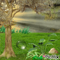 Fantasy lawn GIF animé