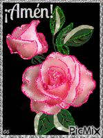 Rosas Rosadas GIF animé