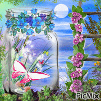 Butterflies in a jar-contest - Gratis geanimeerde GIF