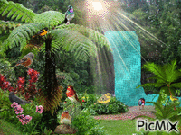 Parque dos Pássaros - GIF animado gratis