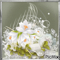 Concours :  Fleurs blanches - GIF animé gratuit