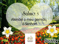 salmo5 GIF animé