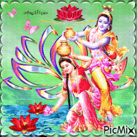 Radha Krishna et fleur de lotus... 💖🤍💛 - GIF animate gratis