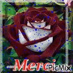 merci - Darmowy animowany GIF