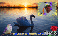 MILEGO WTORKU ZYCZE :-)))) - GIF animado grátis