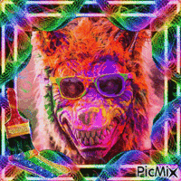 emo wolf multicolor - Free animated GIF