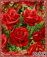 Rosas Vermelhas - Δωρεάν κινούμενο GIF