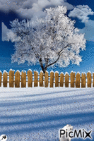 gato en la nieve geanimeerde GIF