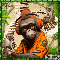 Les singes - Free animated GIF