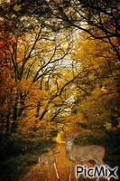 Autumn Season geanimeerde GIF