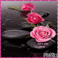 Pink Roses on Rocks - Free animated GIF