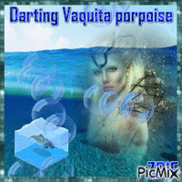 Darting Vaquita porpoise анимированный гифка