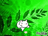 chat qui saute 1 - GIF animado gratis