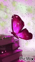 Mariposa - GIF animado grátis