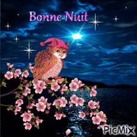 Bonnet de nuit - Бесплатный анимированный гифка