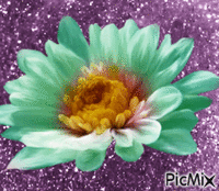 FLOWER - Gratis animeret GIF