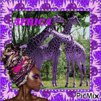 Africa and Giraffe in Purple