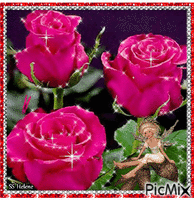 Dark pink roses. animasyonlu GIF