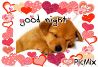 goodnight cutie - Ilmainen animoitu GIF