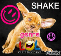 Shake - GIF animado grátis