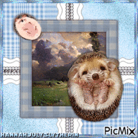 {♥}Cutest wittle Hedgehog EVER!{♥} geanimeerde GIF
