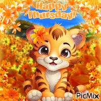 Orange Tiger Happy Thursday - Free animated GIF