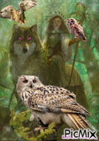FANTASY== LAND==OWLS Animated GIF