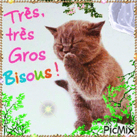 TRÈS GROS BISOUS - Безплатен анимиран GIF