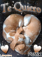 Te Quiero 5 - Ücretsiz animasyonlu GIF