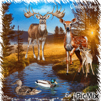 Wish you a nice day. Deers - GIF animado grátis