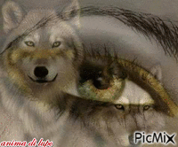 anima di lupo - Безплатен анимиран GIF