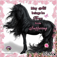 May all beings be Free from Suffering - GIF animasi gratis