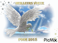 Meilleurs vœux 2018 - Ücretsiz animasyonlu GIF