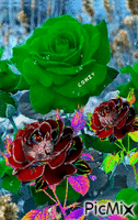 Flores colores GIF animasi