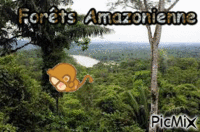 Amazone animēts GIF