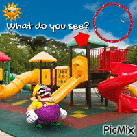 what do you see? - Free animated GIF