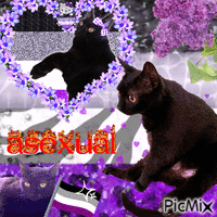 pride asexual - GIF animé gratuit